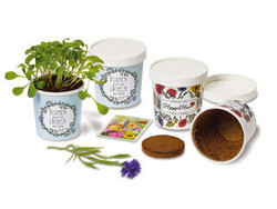 Plantes et graines