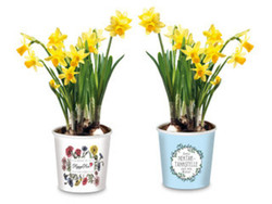 Birthday Gifts for Employees & Coworkers