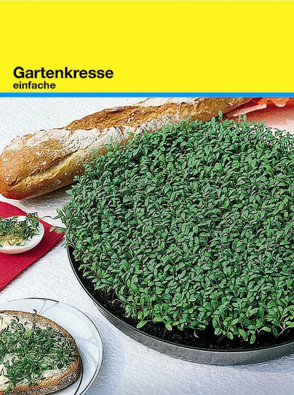 Samentütchen 82x114 mm