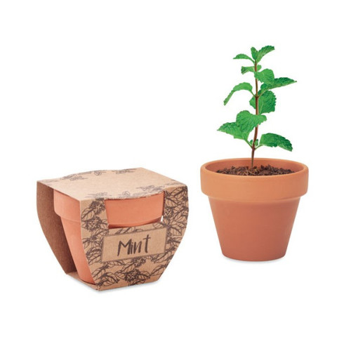 MINT POT - Pot en terre cuite Menthe