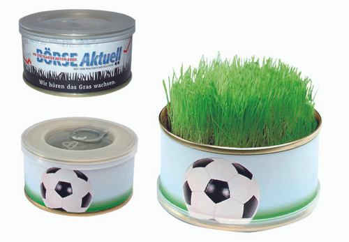 Zimmer-Arena Fußballrasen Minigarten