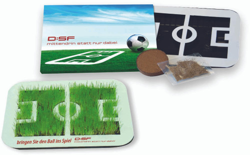 Wachsende Fußball-Arena