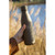 Topflask Premium RCS Recycled Steel 500 ml Water Bottle