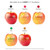 LogoFruit Apple Saint Nicholas