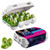 12-pack Easter Egg Carton - Kiss Eggs