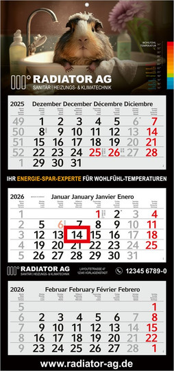 3-Month Calendar Profile 3 Bestseller (Multi-block)