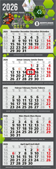 5-Month Calendar Penta Light 5 Bestseller (Multi-Block)