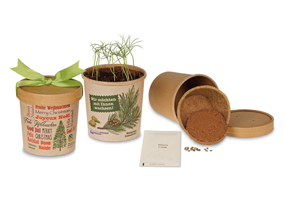 BecherBäumchen - Samenset