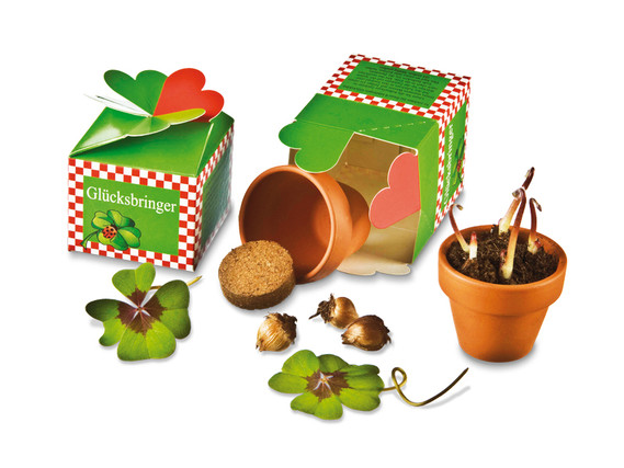 Happiness from the Box - Plant Set