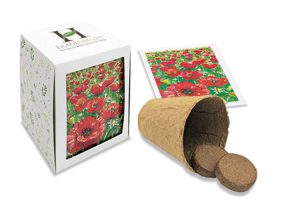 Passepartout Seed Planting Kit