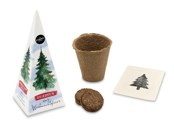 Christmas Tree Pyramid - Seed Set