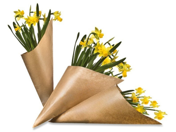 Surprise Bag - Daffodil (without advertising print)