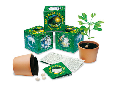 A Tree Defeats Time - Seed Set | ADLER Business Gifts