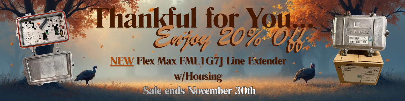 november-gogo-sale-3.png november-gogo-sale-3.png