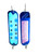 Metallic Blue Toad