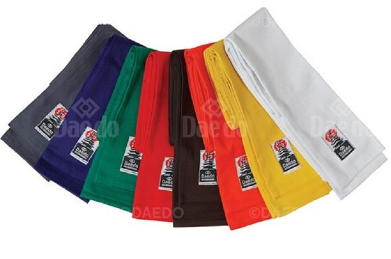 KUNG FU JUNIOR BELTS 240cm