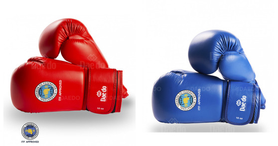 ITF APPROVED GLOVES PU