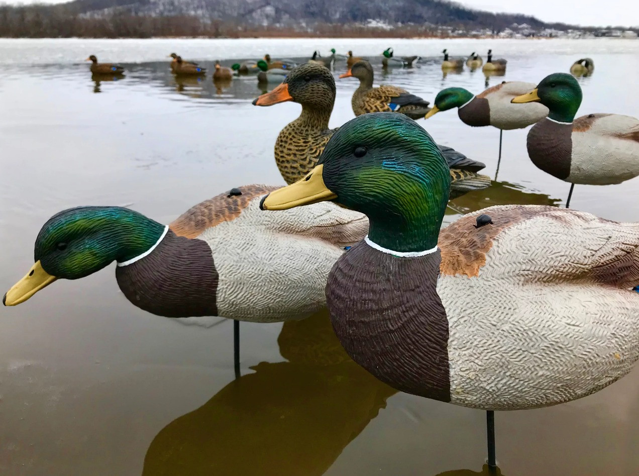 White Rock EVAC Series Mallard Decoys - Thumbnail 2