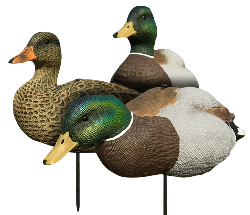 White Rock EVAC Series Mallard Decoys - Thumbnail 3