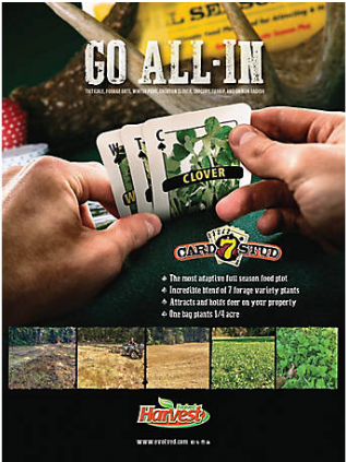 Evolved Harvest 7-Card Stud - Thumbnail 2