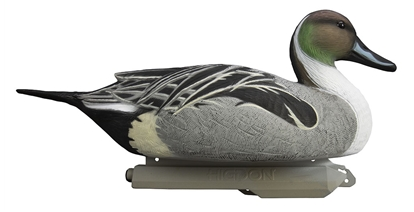 Battleship Pintail Decoys 6 Pack by Higdon Outdoors