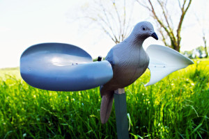 Mojo Wind Dove Decoy Mojo Wind Dove Decoy