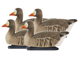 4 Pack GHG Pro Grade Floater Active Specklebelly Decoy Pack by Avery