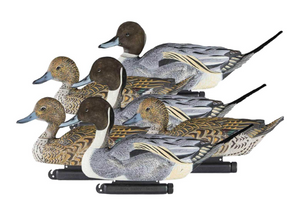 X-treme Pintail Floaters 6 Pack X-treme Pintail Floaters 6 Pack