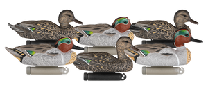 6 Pack X Treme Greenwing Teal Duck Decoys by Dakota Decoy Company