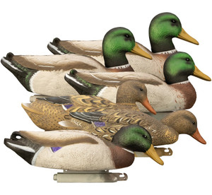 6 Pack Of Magnum Mallard Foam Filled Duck Decoys with Painted Heads by Higdon Outdoors 6 Pack Of Magnum Mallard Foam Filled Duck Decoys with Painted Heads by Higdon Outdoors