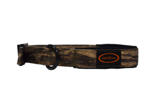 Swagger Collar - Small - Camo Swagger Collar - Small - Camo