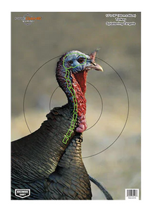12x18 Pregame Turkey Reactive Target