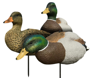 EVAC Series Fullbody Mallard Decoys 6 Pack by White Rock Decoy Company