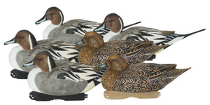 Image Alt Text: Avery GHG Pro-Grade XD Series Pintail Harvester Decoys 6 Pack by Banded, featuring DuraFeatherâ„¢ soft body, lifelike poses, and vibrant paint for premium waterfowl hunting. Includes 2 Active Drakes, 2 Rester Drakes, and 2 Rester Hens for realistic Northern Pintail decoy spreads. Image Alt Text: Avery GHG Pro-Grade XD Series Pintail Harvester Decoys 6 Pack by Banded, featuring DuraFeatherâ„¢ soft body, lifelike poses, and vibrant paint for premium waterfowl hunting. Includes 2 Active Drakes, 2 Rester Drakes, and 2 Rester Hens for realistic Northern Pintail decoy spreads.