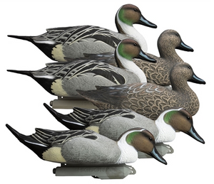 Battleship Pintail Foam Filled Duck Decoys 6 Pack by Higdon Outdoors Battleship Pintail Foam Filled Duck Decoys 6 Pack by Higdon Outdoors