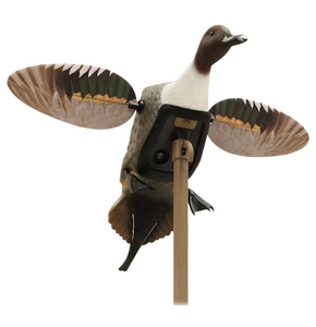 Elite Series Pintail Motion Duck Decoy by Mojo Outdoors Elite Series Pintail Motion Duck Decoy by Mojo Outdoors