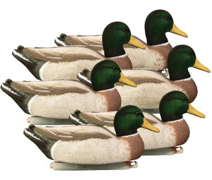 Flocked Head Magnum Mallard Drake Foam Filled Duck Decoys 6 Pack by Higdon Outdoors Flocked Head Magnum Mallard Drake Foam Filled Duck Decoys 6 Pack by Higdon Outdoors
