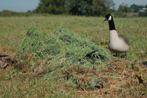 Killer Wheat Style Golden Harvest Layout Blind Kit by Avery