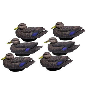 6 Pack Flex Float Black Duck Decoys by Lifetime Decoys
