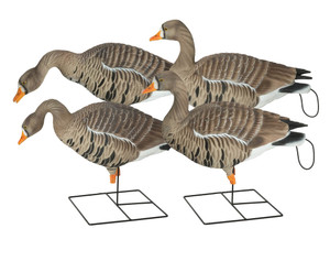 GHG Pro Grade XD Series Specklebelly Goose Harvester Decoy 4 Pack by Banded GHG Pro Grade XD Series Specklebelly Goose Harvester Decoy 4 Pack by Banded