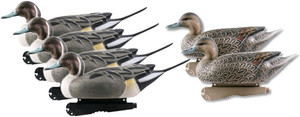 6 Pack GHG Hunter Series Over Size Static Pintail Duck Decoys by Avery