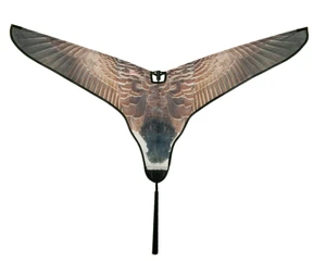 Specklebelly Goose Super Flag Decoy by Avery