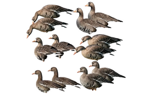 12 Pack GHG Pro-Grade Specklebelly Silhouette Decoys by Avery