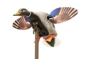 Mini Mallard Drake by MOJO Mini Mallard Drake by MOJO