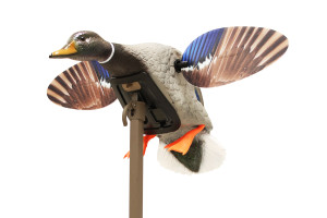 Mojo Elite Series Mini Mallard Drake by Mojo Outdoors Mojo Elite Series Mini Mallard Drake by Mojo Outdoors
