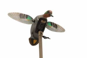 Mojo Elite Series Green Wing Teal by Mojo Outdoors Mojo Elite Series Green Wing Teal by Mojo Outdoors
