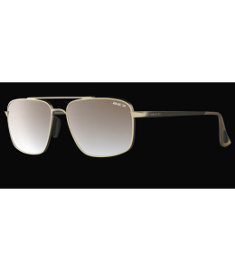 Matte Gold/Brown Ombre Sunglasses by Accel