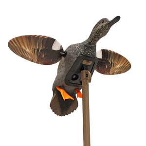 Elite Series Gadwall Decoy by Mojo Outdoors Elite Series Gadwall Decoy by Mojo Outdoors