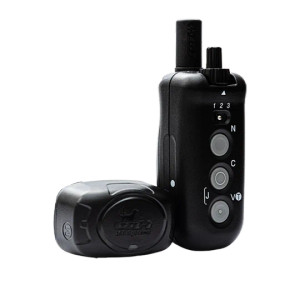 Direct Observe Guide Director 700 By D.T Systems Direct Observe Guide Director 700 By D.T Systems