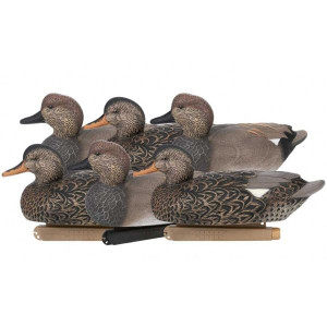 Floater 6 Pack Gadwall Duck Decoy by Zink Floater 6 Pack Gadwall Duck Decoy by Zink